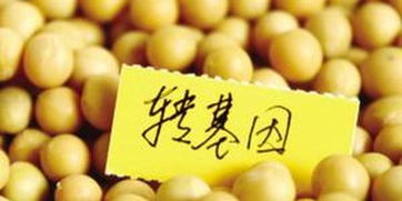 俄羅斯嚴(yán)格管制轉(zhuǎn)基因食品 違法生產(chǎn)和進(jìn)口將面臨罰款